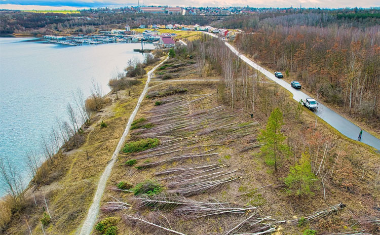Ferienhaus kaufen - Strandhaus Resort Geiseltalsee Mücheln